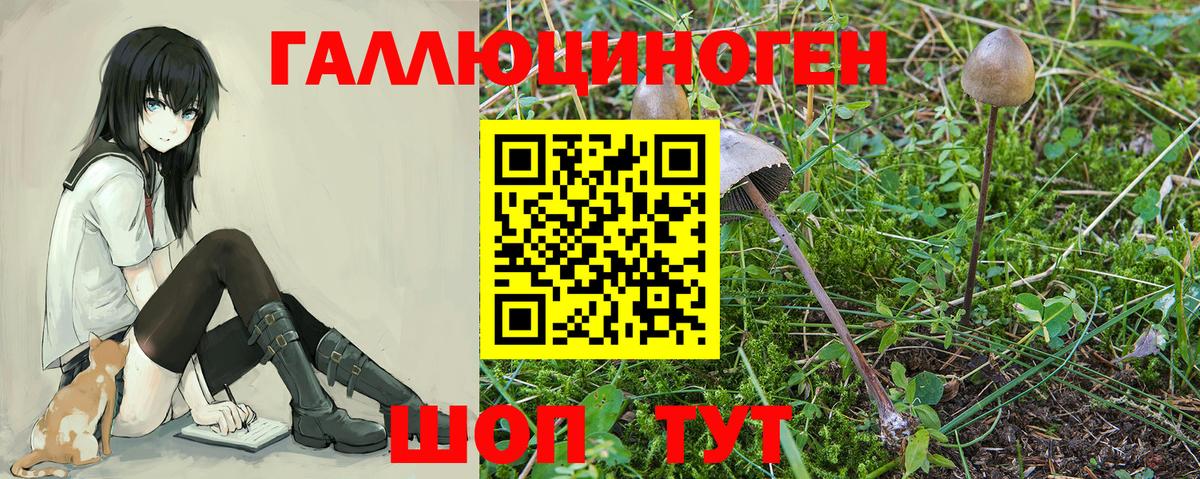 Псилоцибиновые грибы мухоморы Новокуйбышевск