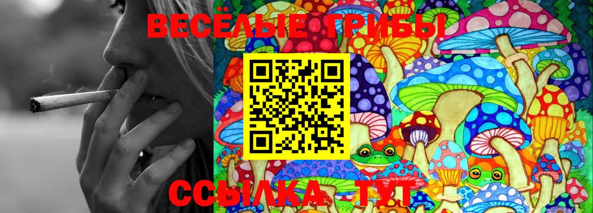 Галлюциногенные грибы мицелий  Вход с VPN  Новокуйбышевск 
